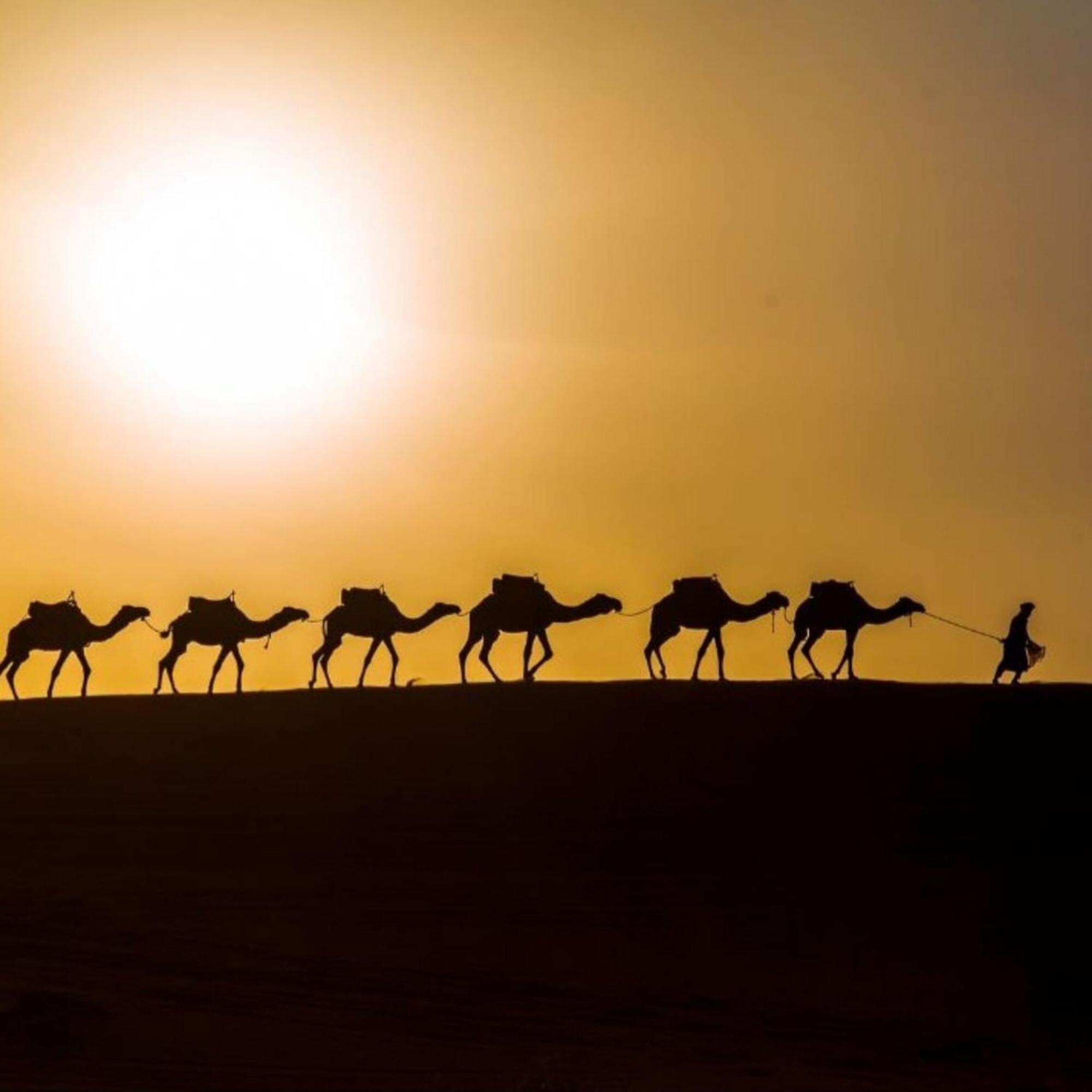Unique Sahara Camp Merzouga Exterior foto