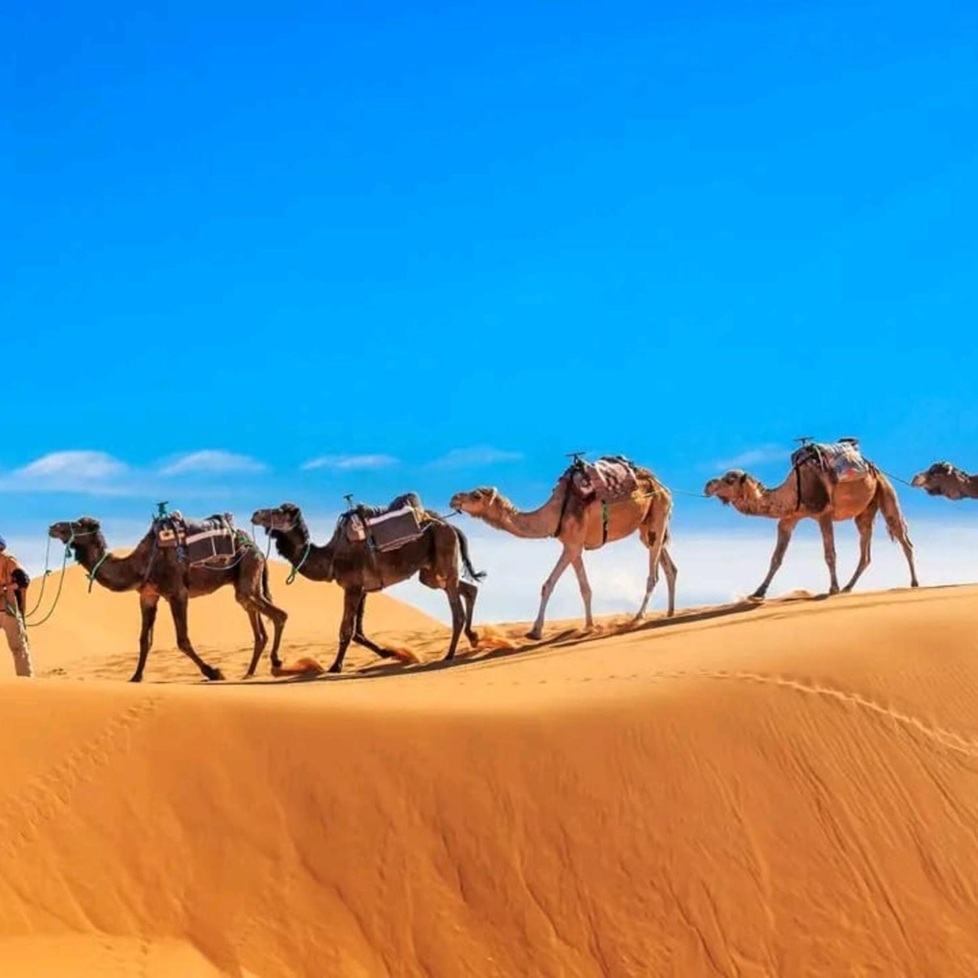 Unique Sahara Camp Merzouga Exterior foto
